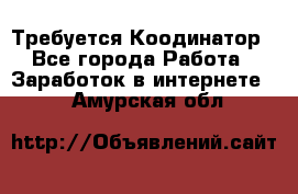 Требуется Коодинатор - Все города Работа » Заработок в интернете   . Амурская обл.